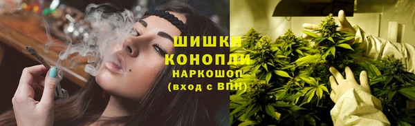 стафф Заволжье