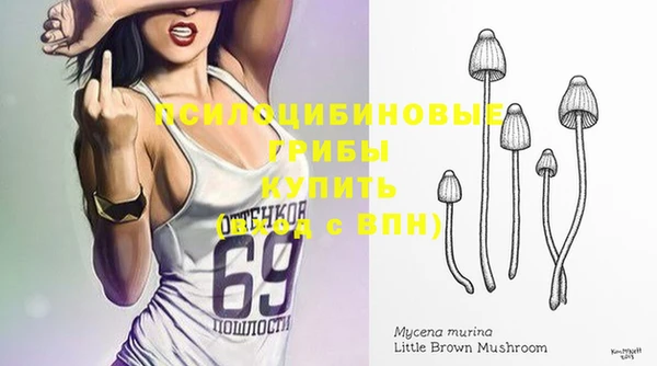 стафф Заволжье