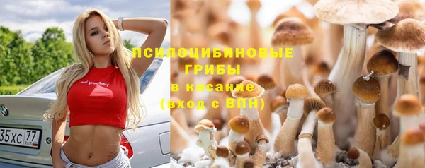крисы Заволжск
