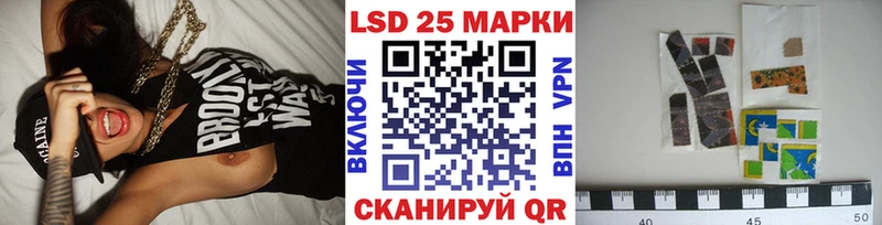 Купить закладки  Новоржев  Наркотические марки 1500мкг 