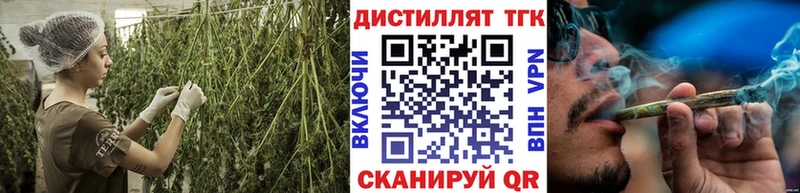 Купить закладки  Новоржев  Дистиллят ТГК концентрат 
