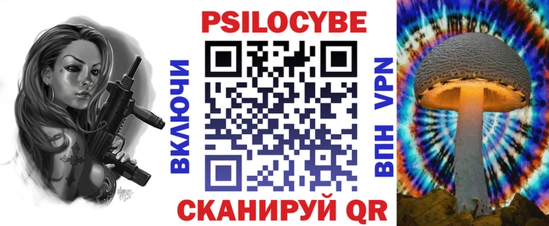 Купить  Новоржев  Галлюциногенные грибы мицелий 