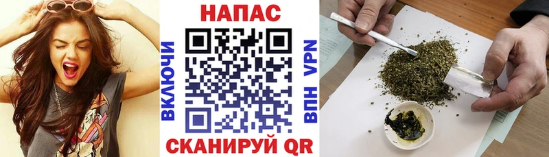 Купить где  Новоржев  Шишки марихуана марихуана 